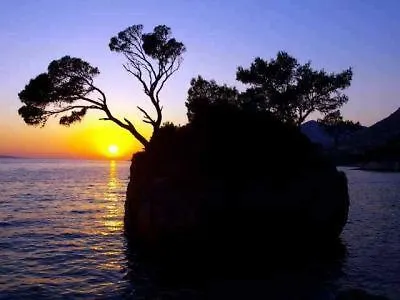 Appartamento Miva Brela